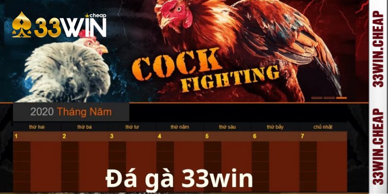 Những thể loại cá cược nổi bật có mặt tại đá gà 33win 