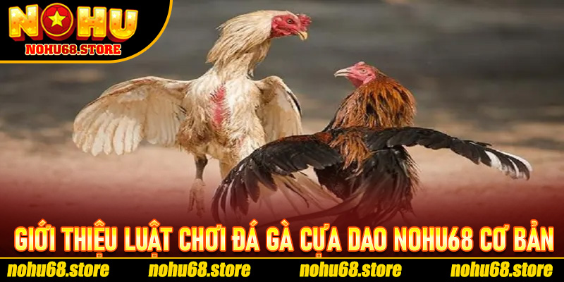 Đá Gà Cựa Dao Nohu68 – Cuộc Đọ Sức Đỉnh Cao Giữa Những Chiến Kê Huyền Thoại 6 Giới Thiệu Luật Chơi Đá Gà Cựa Dao Nohu68 Cơ Bản