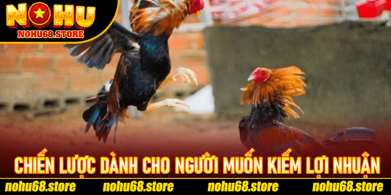 Đá Gà Cựa Dao Nohu68 – Cuộc Đọ Sức Đỉnh Cao Giữa Những Chiến Kê Huyền Thoại 7 Chiến Lược Dành Cho Người Muốn Kiếm Lợi Nhuận Dài Hạn Về Đá Gà Cựa Dao Nohu68