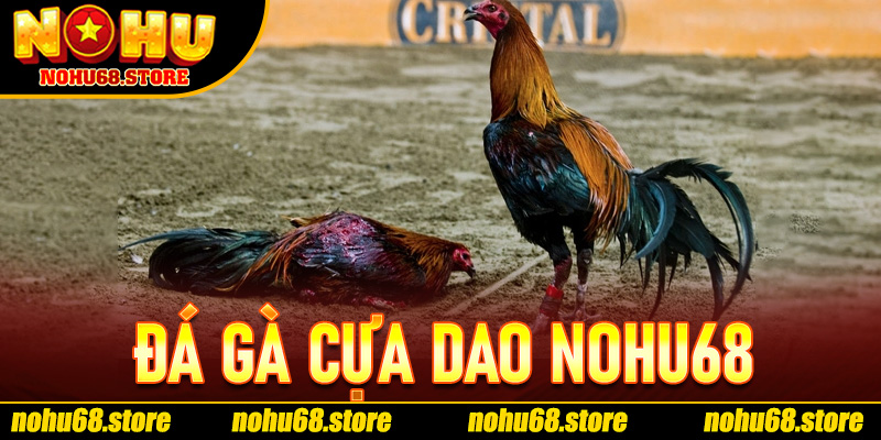 Đá Gà Cựa Dao Nohu68 – Cuộc Đọ Sức Đỉnh Cao Giữa Những Chiến Kê Huyền Thoại 1 Đá gà cựa dao Nohu68