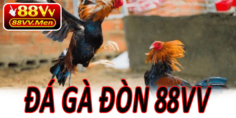 Đá Gà Đòn 88VV
