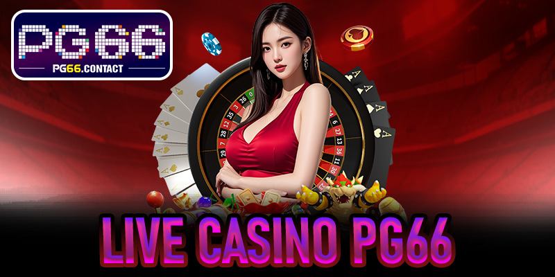 Live Casino PG66